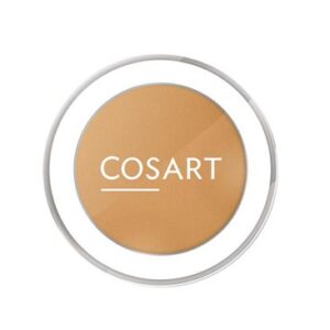 پنکیک خشک و مرطوب کوزارت 1