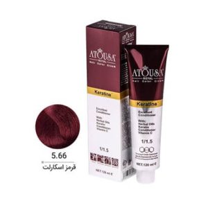 تصویر رنگ موی اتوسا رویال