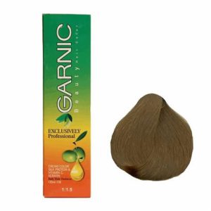 تصویر رنگ موی گارنیک 8/2