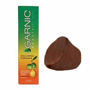 تصویر رنگ موی گارنیک 6/4