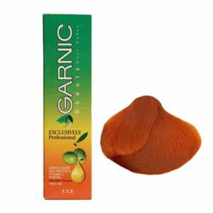 تصویر رنگ موی گارنیک 9/44