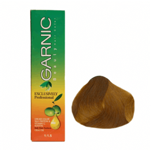 تصویر رنگ موی گارنیک 8/554