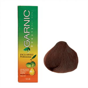 تصویر رنگ موی گارنیک 5/62
