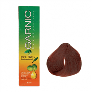 تصویر رنگ موی گارنیک 6/64