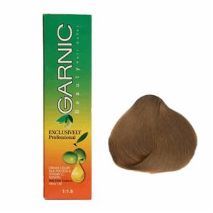 تصویر رنگ موی گارنیک 8/65