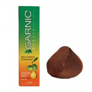 تصویر رنگ موی گارنیک 6/68