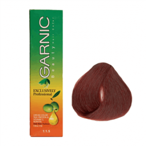 تصویر رنگ موی گارنیک 6/558