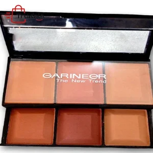 رژ گونه دو طبقه  گارنیر