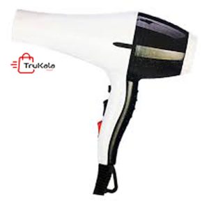 سشوار حرفه ای انزوسالن ار ای اف 13819