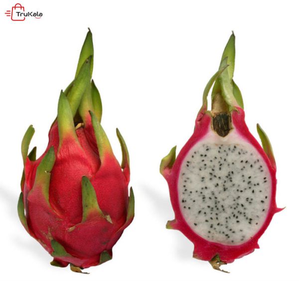 ماسک نقابی پیتایا زوزو