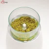 دستگاه خرد کن مولینکس