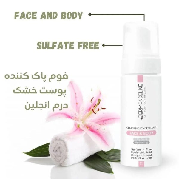 فوم پاک کننده پوست خشک درم انجلین 