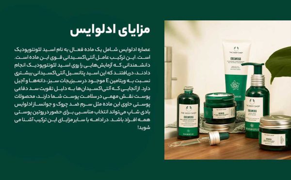 سرم کنستانتره جوانساز ادلوایس بادی شاپ